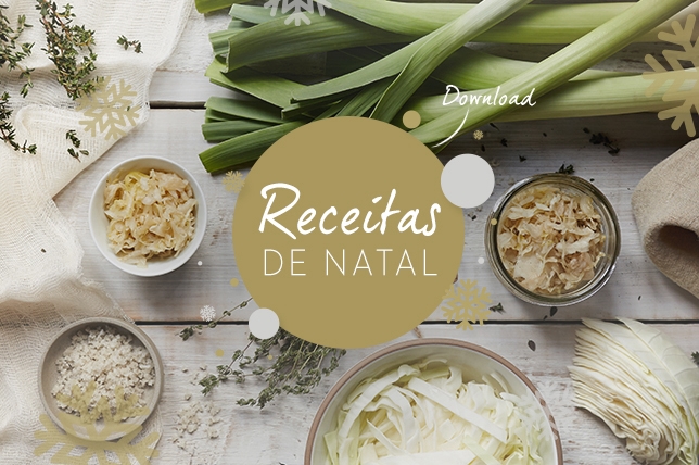 receitas de natal download