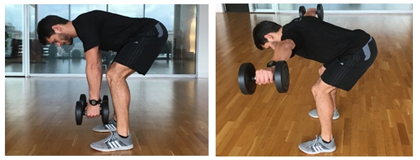 reverse fly perder peso