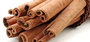 Canela | Stress | Holmes Place
