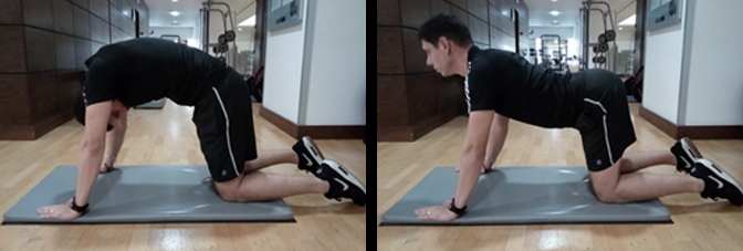 flexão e extensão coluna vertebral